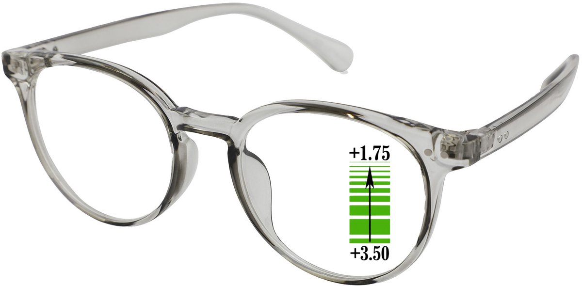 Leesbril Vista Bonita Panto Multifocaal-Kadushi silver-+3.50