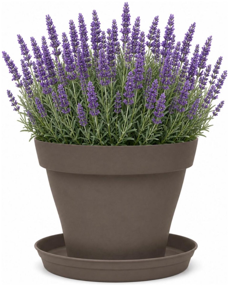 EDA Romeo Bloempot en onderschaal - D35 x H26 cm - taupe - kunststof - binnen en buiten
