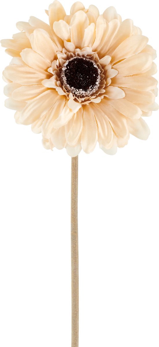 Easyplants | Kunstbloem Gerbera 53 cm creme/bruin | Zijde | Nepbloemen | bruin | Onderhoudsvrij | Kant-en-klaar