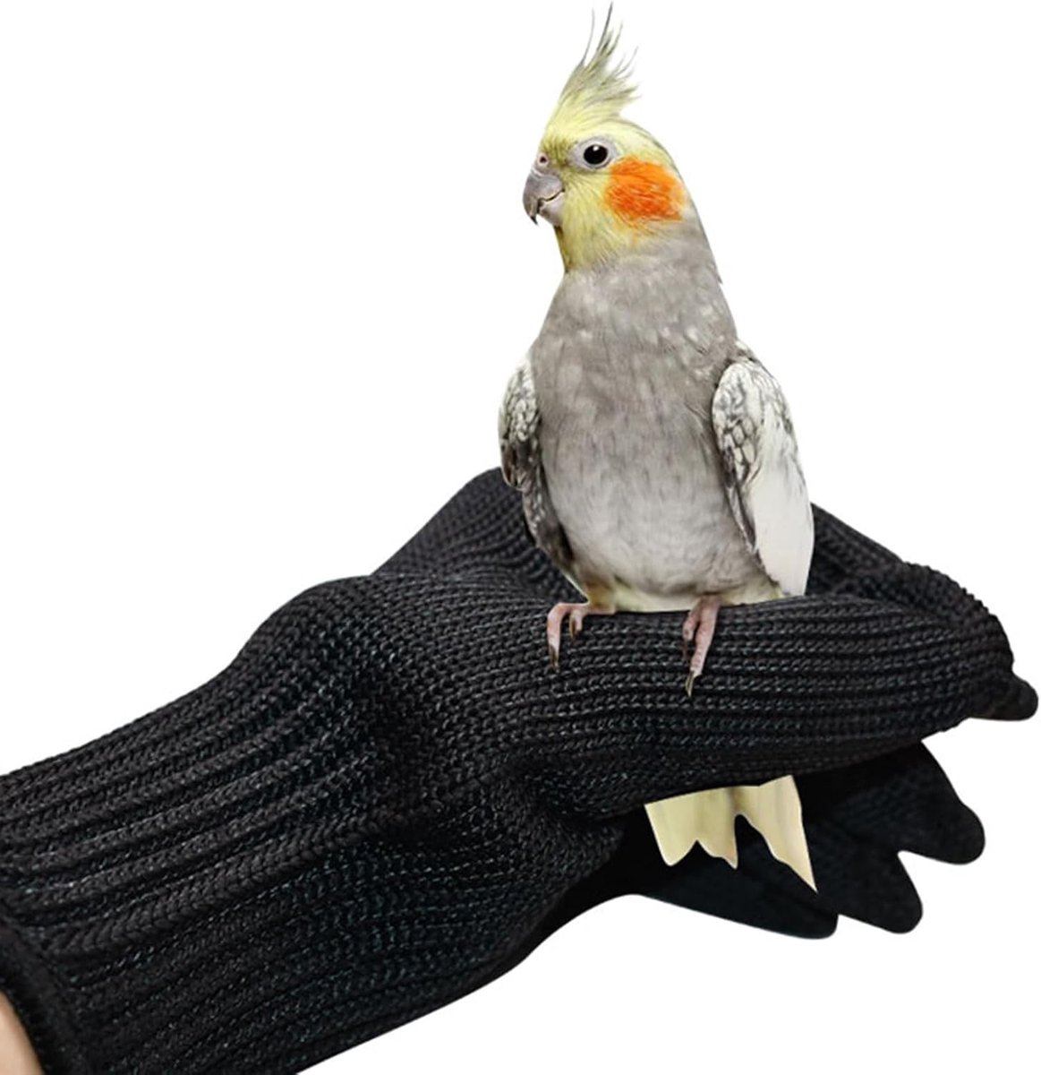 Anti-Bite Handschoenen voor Papegaaien en Kleine Dieren - Beschermende Training Handschoenen voor Diertraining en Bijtbestendigheid (Zwart)