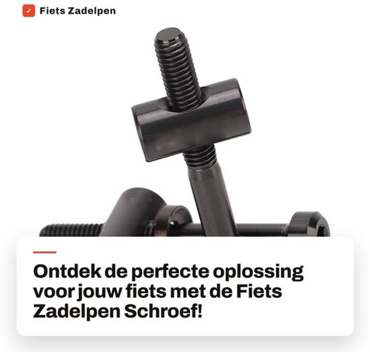 Zadelpen Schroef 2 Stukken - M5 X 40 mm - Titaniumlegering - Fietsonderdelen - Vervanging - Duurzaam en lichtgewicht - Fietsschroef