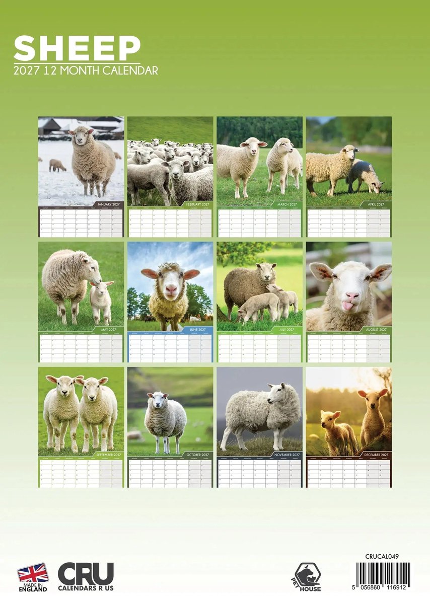 Schapen A3 Kalender 2027