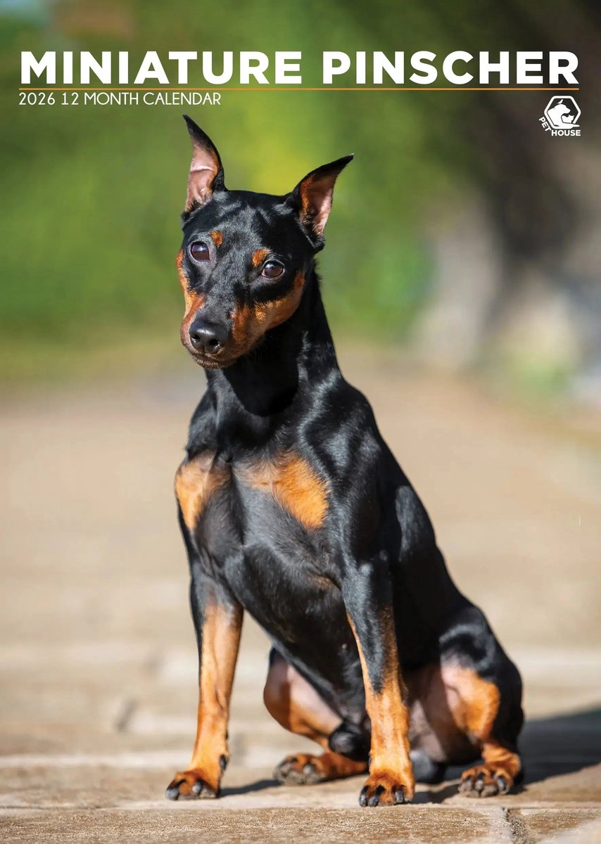 Miniatuur Pinscher A3 Kalender 2027