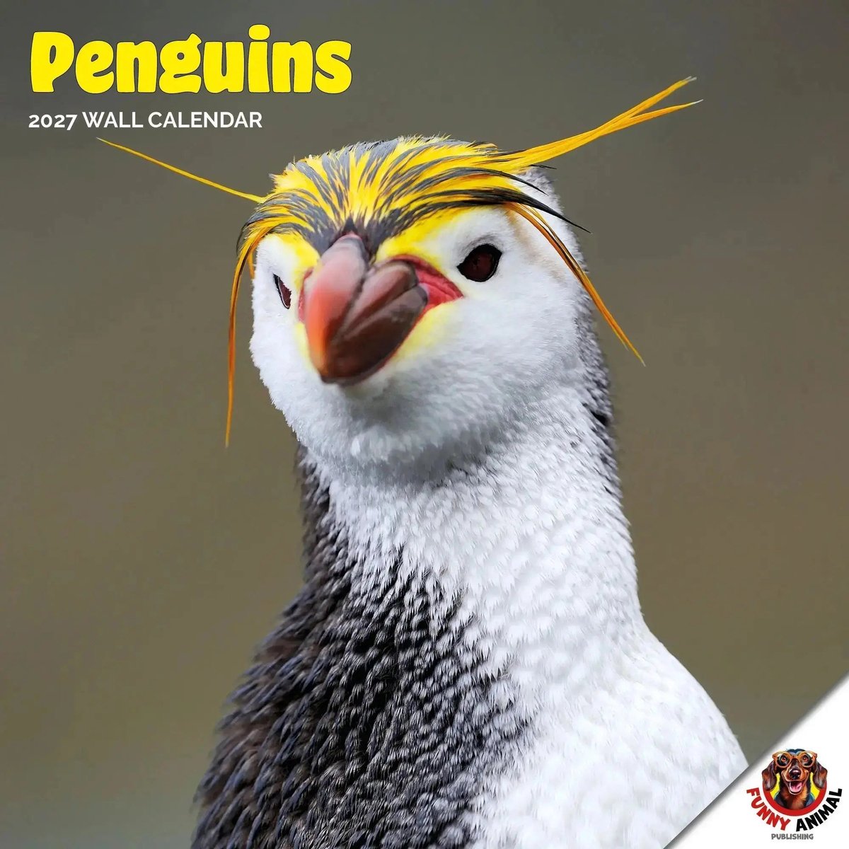 Pinguïns Kalender 2027