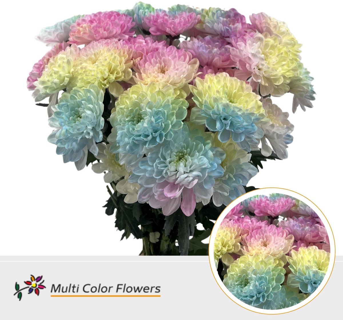 10x Chrysant overig 60cm