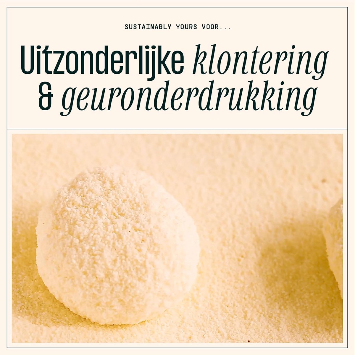 SnelShoppen - Kattenbakvulling - Duurzaam - Kleine korrel formule - 4.5 kg - Geurcontrole - Maïs en Cassave - Hypoallergeen - Natuurlijk