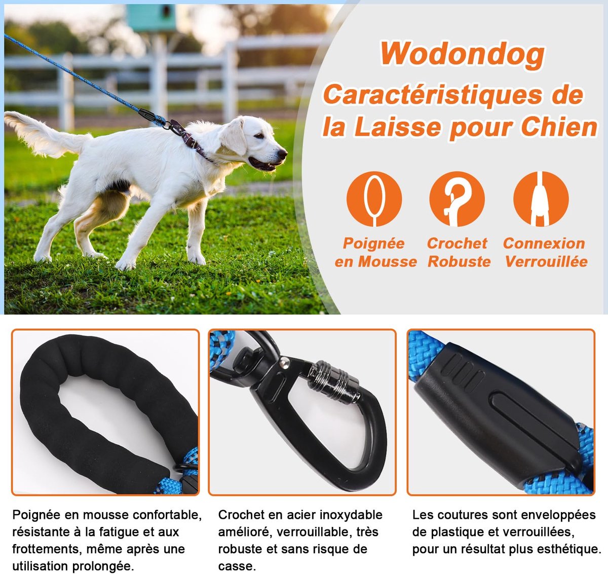 Hondenriem 1,2 m/1,5 m/2 m/3 m/5 m/10 m/20 m/30 m - lange riem met gevoerde handgreep - ShopVlot