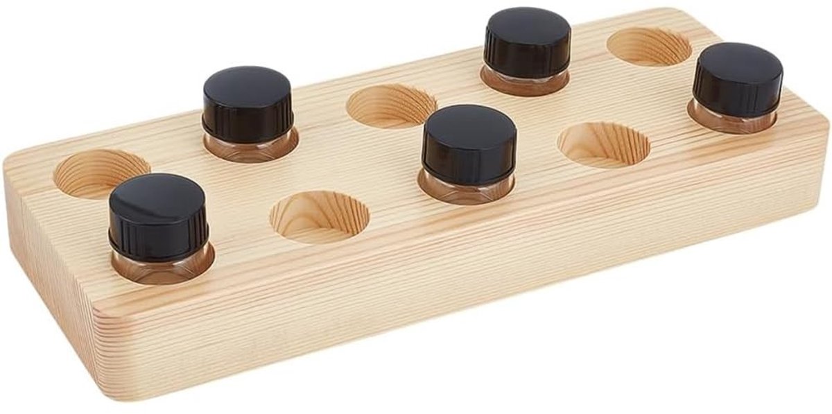 Omgoods- Inktpotjes 10pcs 5ml - Glazen Inktpotten - Houten Houder - Lege Navulbare Inktcontainers - ABS Plastic Deksel - Voor Calligrafie Schilderen - Inkflessen