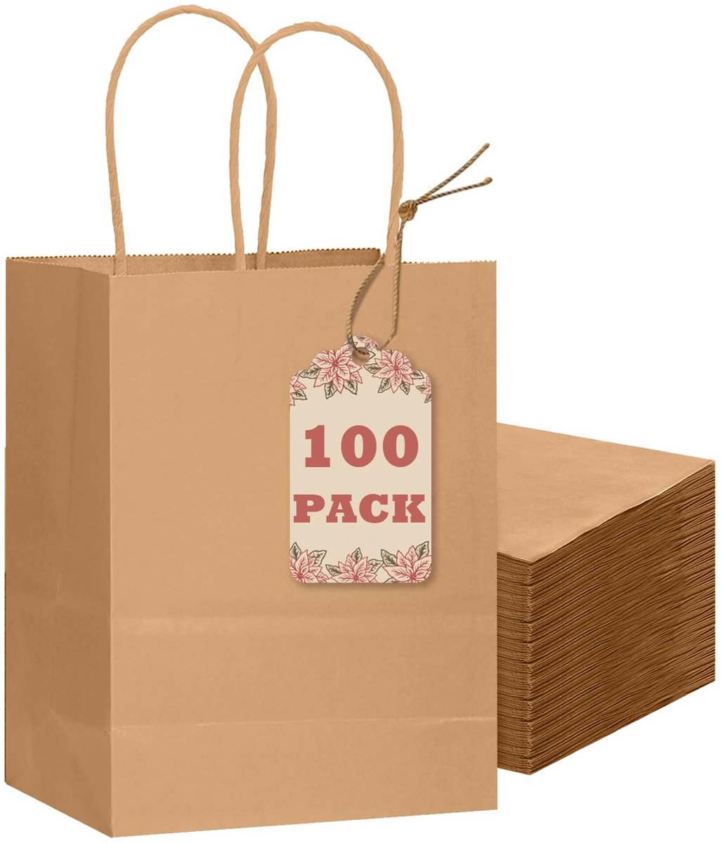 Omgoods - 100 Stuks Bruine Cadeautassen met Handvatten - Kraft Papier 21x15x8cm