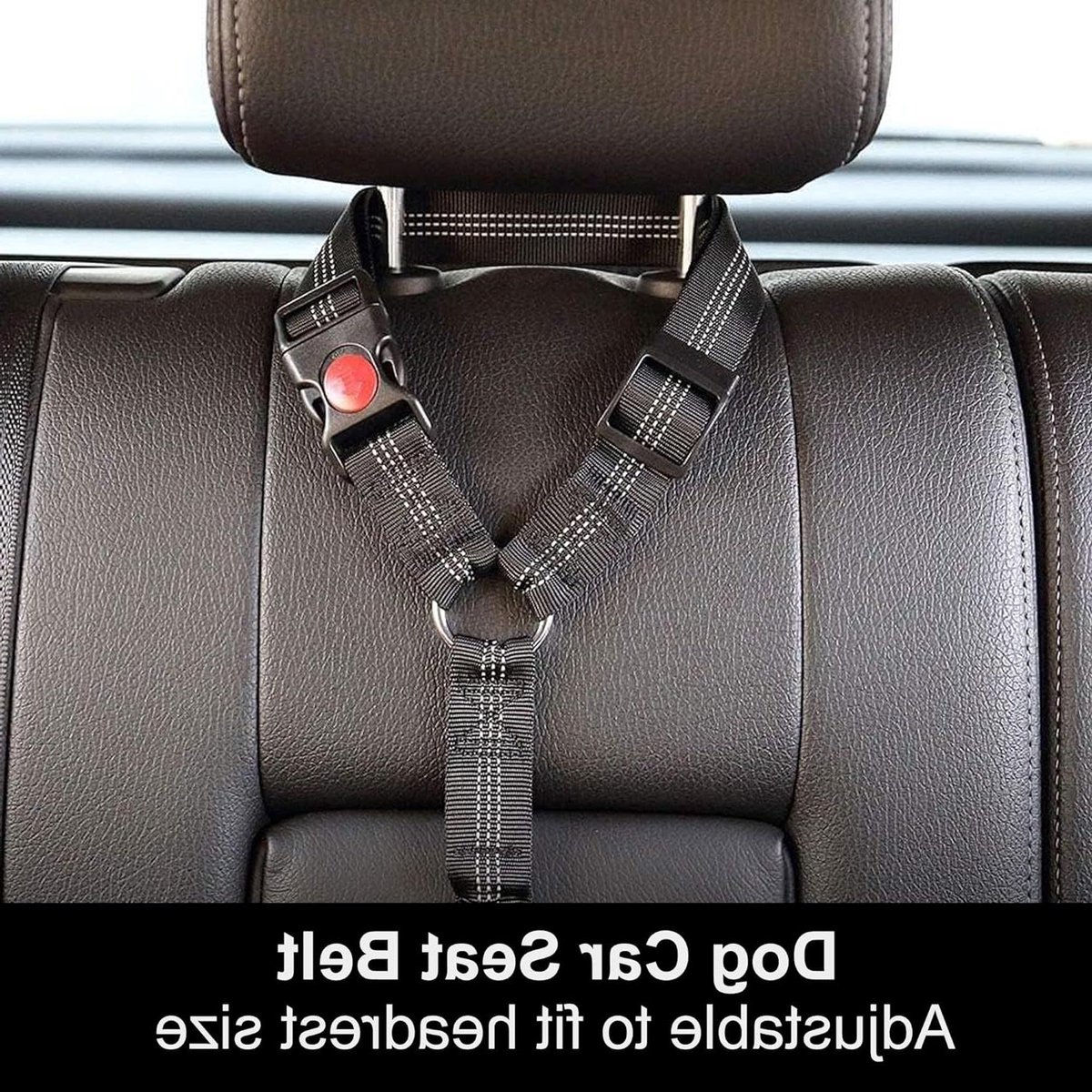 Autogordel Hond - Hondenriem Auto - Veilig Reizen - Elastische Buffer - Verstelbaar - Zwart