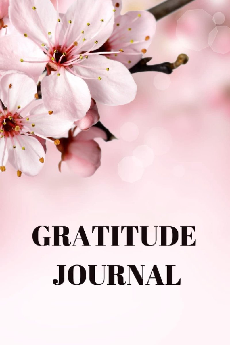 SnelShoppen - Daily Gratitude Journal | Dagelijks Dankbaarheidsjournal | Manifestatie | Affirmaties | Notitieboek | Journal | A5 Formaat | Inspirerend