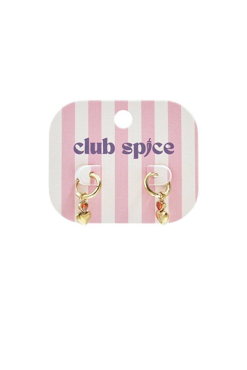 Elegant heart-shaped drop earrings for all occasions - zilveren kleur