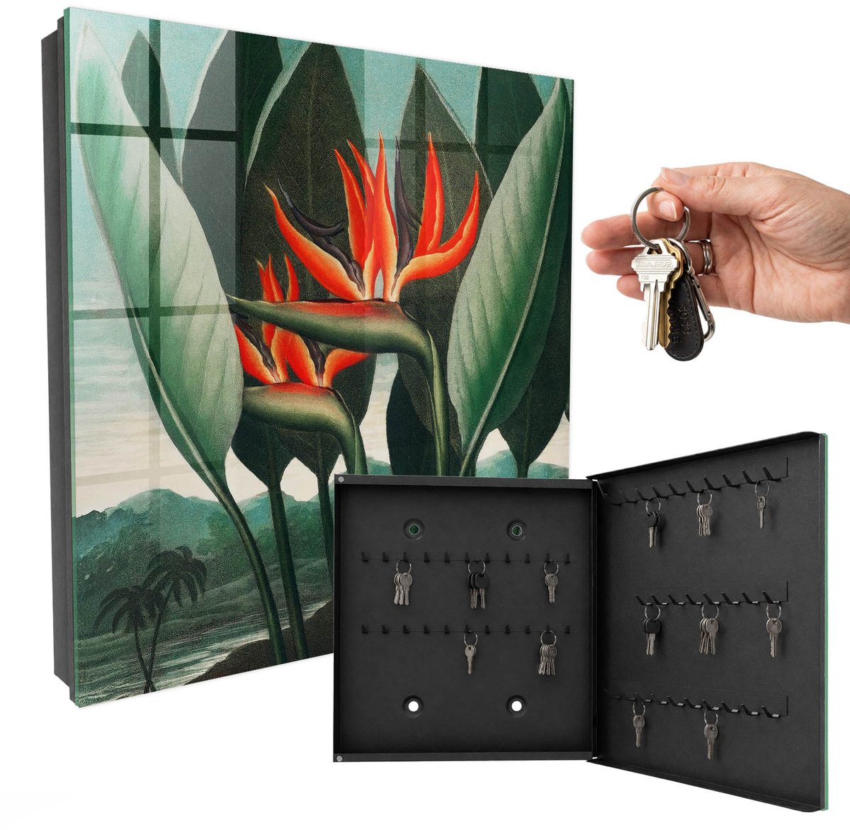 WallMuralia - Sleutelkast - 30x30x5 cm - met 50 haken - Het Exotische Van De Natuur Sleutelkastje Huis - Groente Sleutelbox - Rechtsopenend - Zwart interieur