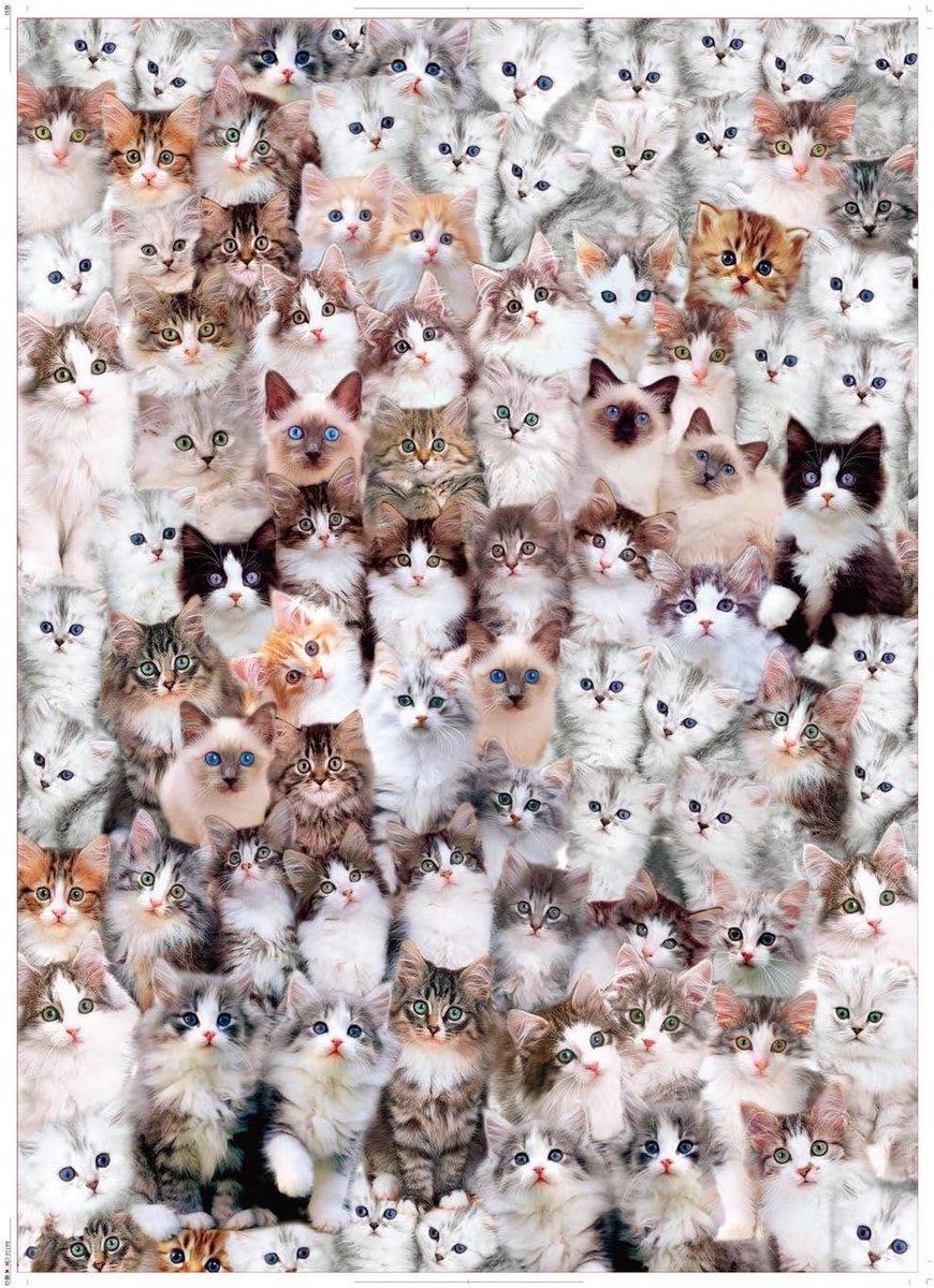 EACHHAHA puzzel 1000 stukjes, volwassen puzzel kat, puzzel casual game, 70 x 50 cm / 27.5x19.7in, kat - ShopVlot