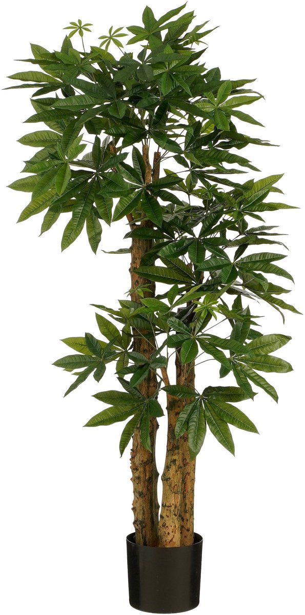 Mica Decorations Pachira Kunstplant - Kunstboom Watercacao Geldboom - Symbool voor Geluk en Welvaart - Groene Kunstplant voor Binnen - H175 x Ø85 cm - Zwarte Kunststof Pot - Groen
