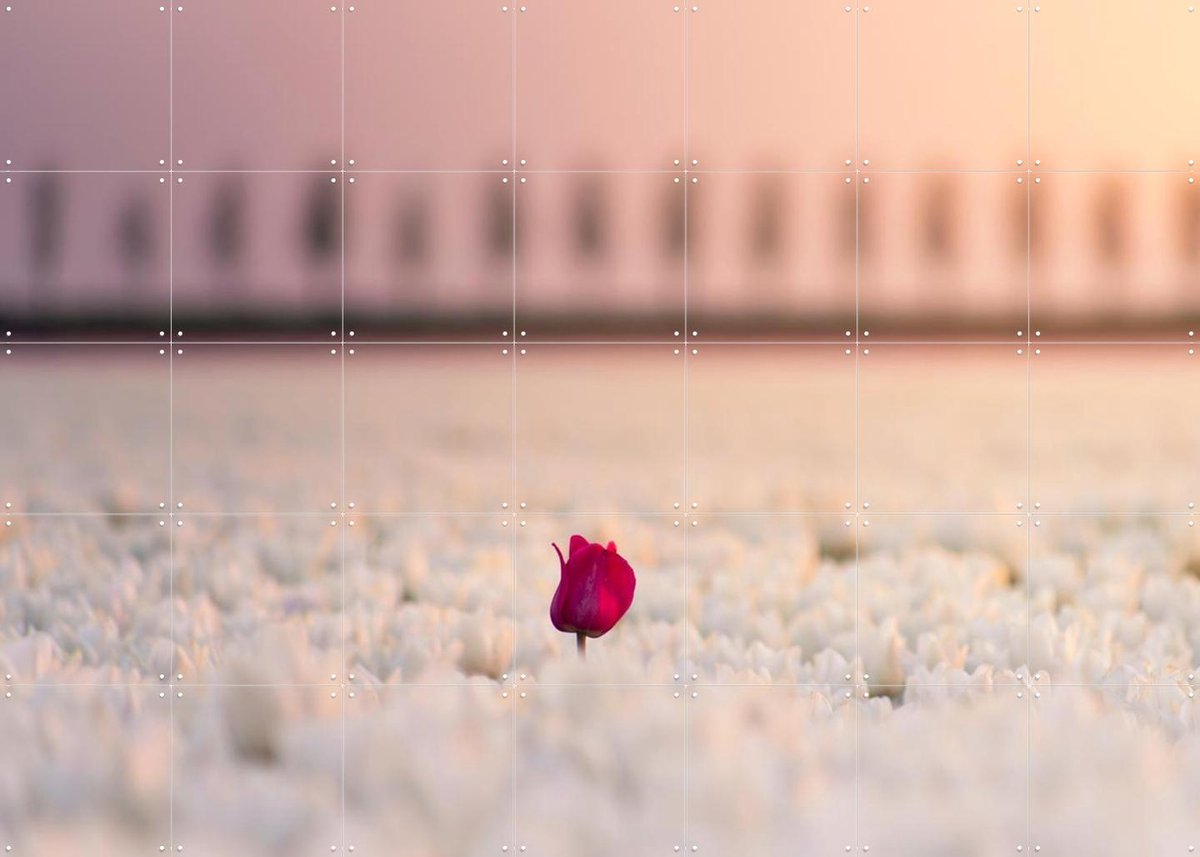 IXXI The One that Stands Apart, Claire Droppert - 140 x 100 cm - Gratis ophangtool - Grote wanddecoratie en posters - Fotografie, Slaapkamer, Gang