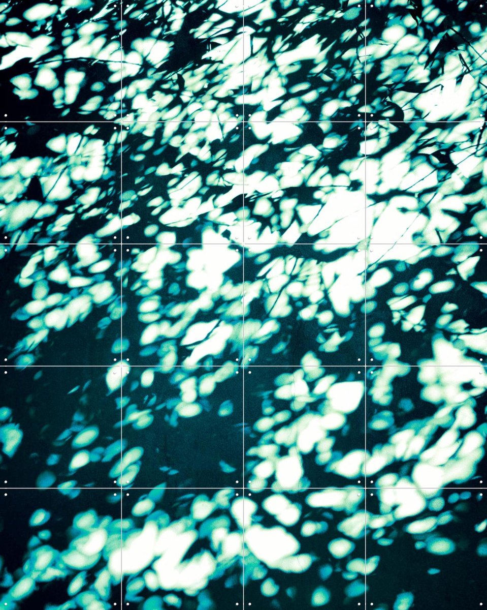 IXXI Wall Shadows Teal, Angelo Cerantola - 80 x 100 cm - Gratis ophangtool - Grote wanddecoratie en posters - Modern, Abstract, Surrealisme, Digitale