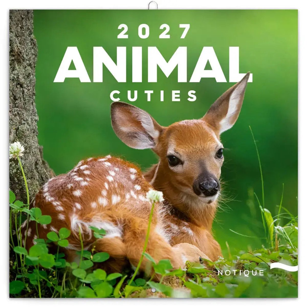 Animal Cuties Kalender 2027