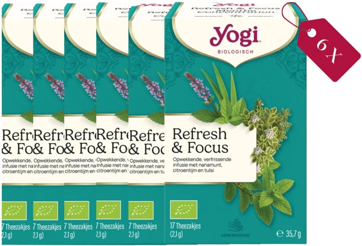 Yogi Refresh & Focus Tea Bio - tray: 6 stuks