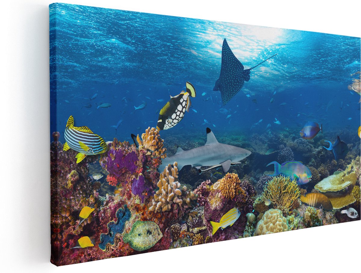 Artaza Canvas Schilderij Vissen met Koraalrif in de Oceaan - 160x80 cm - Groot - Wanddecoratie Woonkamer - Schilderijen - Muurdecoratie