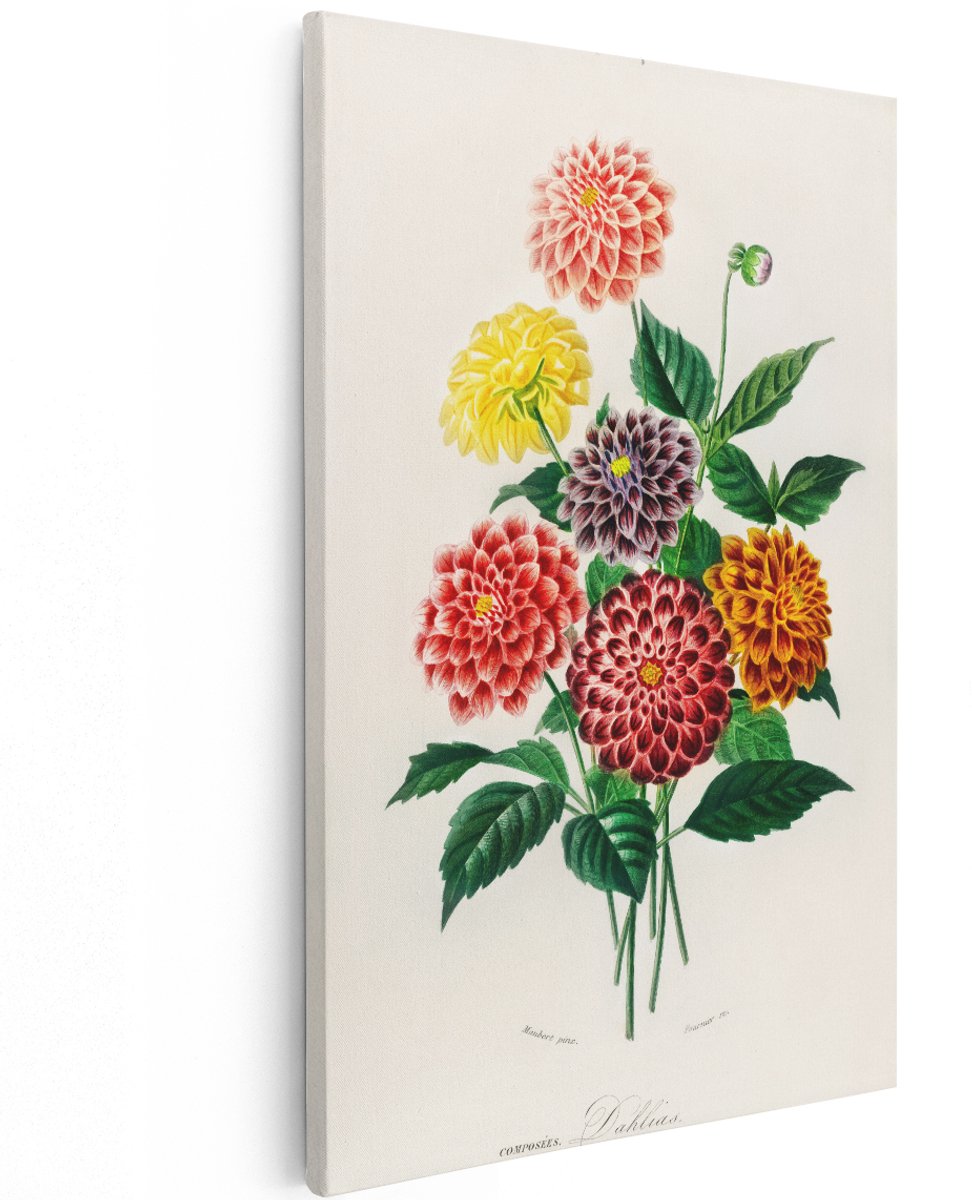 Artaza Canvas Schilderij Dahlia Bloemen - 120x180 cm - Groot - Wanddecoratie Bloemen Schilderij - Muurdecoratie Vintage Botanisch - Decoratie Kleurrijk