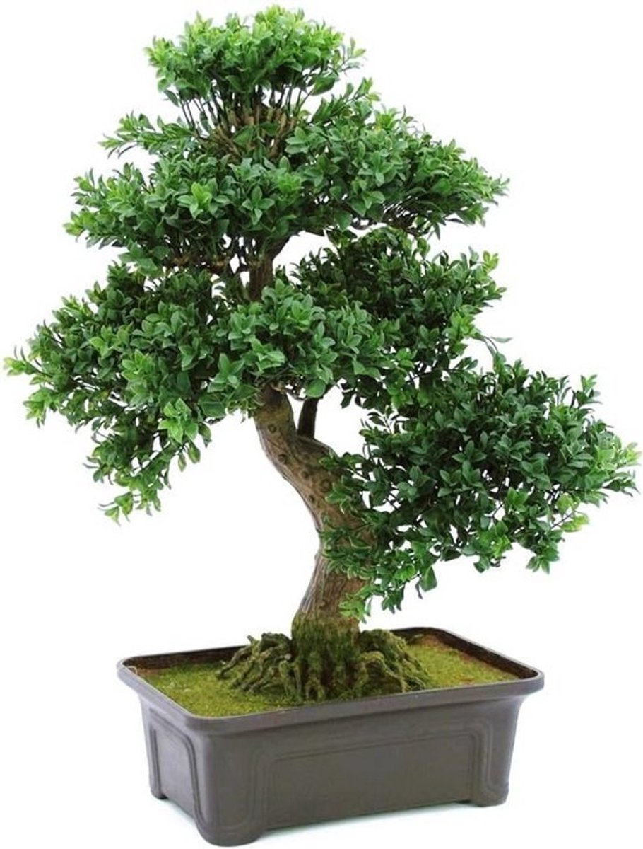 Realistische Kunst Bonsai Boom met Decoratieve Kom - 61 cm Hoog