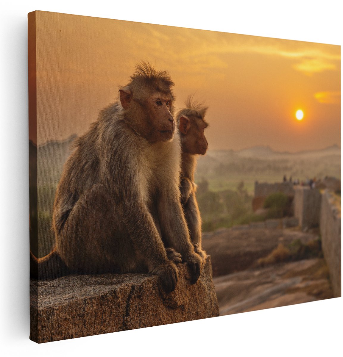 Artaza Canvas Schilderij Twee Apen Bekijken De Zonsondergang - 160x120 cm - Groot - Wanddecoratie Woonkamer - Schilderijen - Muurdecoratie