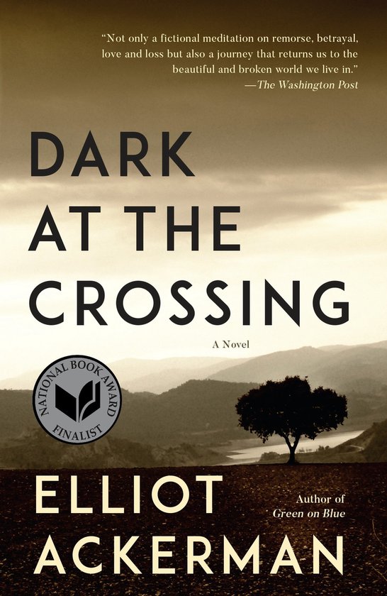 Dark at the Crossing - cover