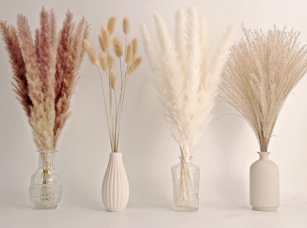 Dailygoods- Pampasgras Decoratie 65 Stuks - Natuurlijk Gedroogd Rietgras - Konijnenstaartgras - Boho Bloemen - Milieuvriendelijk - Perfect voor Bruiloft - Gedroogde Bloemen