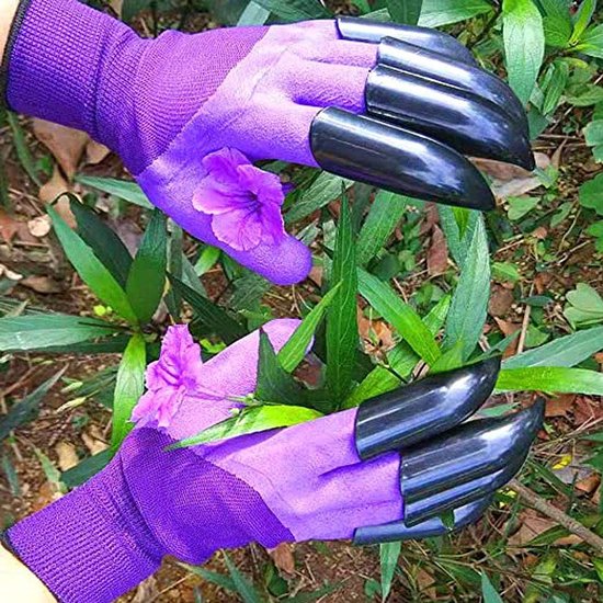 Paar paarse tuinhandschoenen met zwarte klauwen, die voorzichtig een bloem vasthouden.