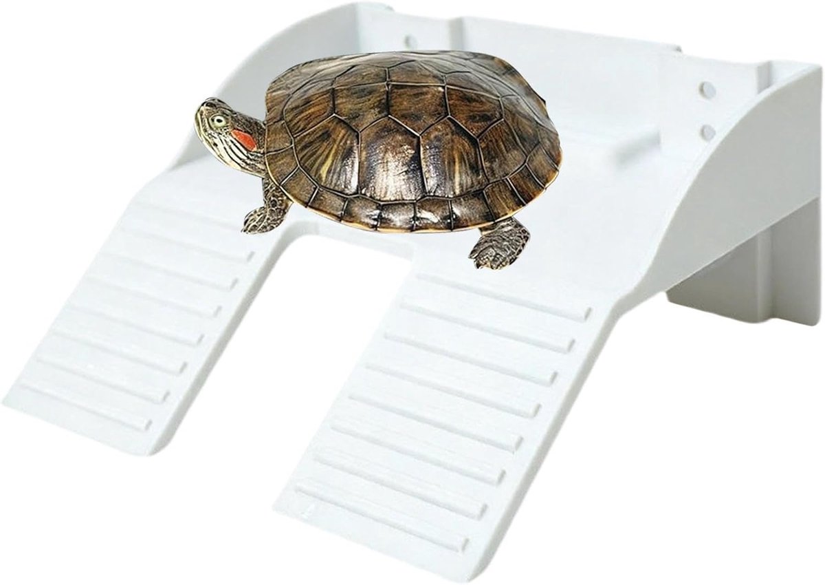 Reptielen Eiland - Aquarium Decoratie - Rusten en Klimmen - Met Voederzone - 17 x 16 x 8 cm - Wit