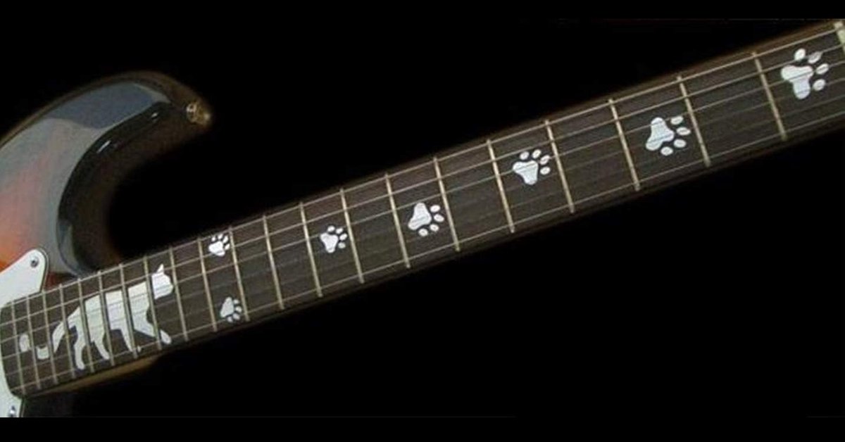 & Foots Fret Markers Inlay Sticker Gitaar & Bass Diapason ... (Zilver)