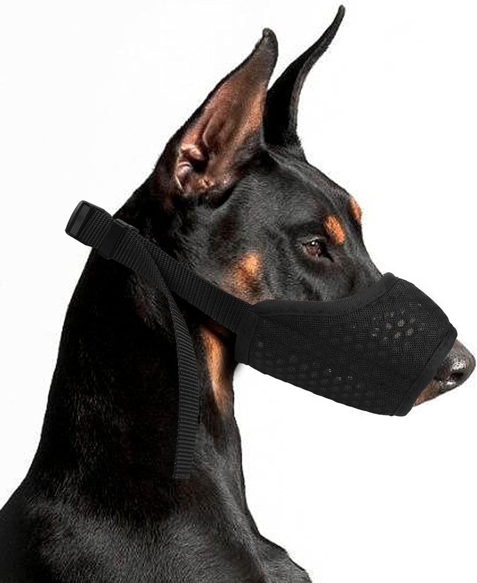Muilkorf Hond, Ademend Mesh en Duurzaam Nylon Hond Muilkorf met Verstelbare, Voorkomt Eten, Bijten en Kauwen voor Kleine Medium en Large Dogs (L, zwart)