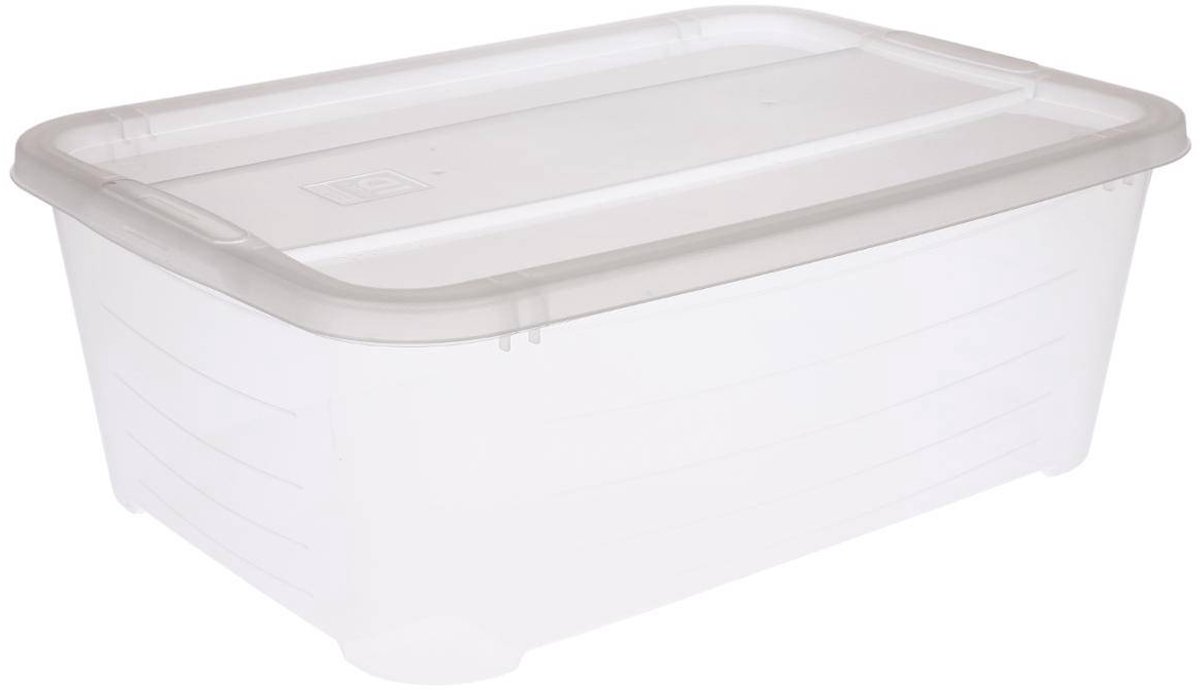 Doorzichtige doos 11L STORE N' BOX