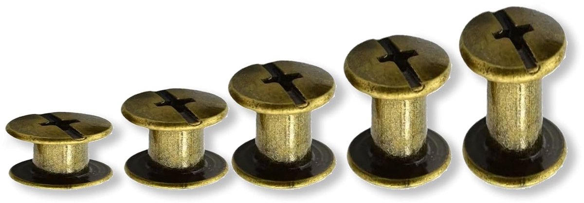 100 Set Chicago Screws 4/6/8/10/14mm, Bronze Cross Head Chicago Screws Kit, Screw Metal Nail Rivet Chicago Knob - ShopVlot