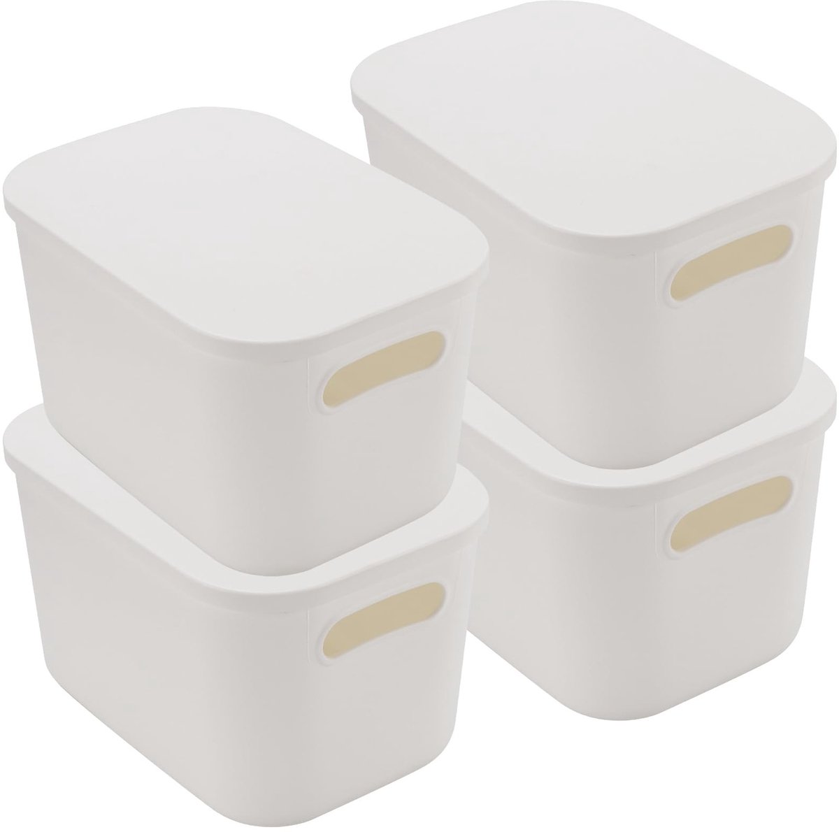 Dailygoods- Opbergdozen 4 Stuks - Plastic met Deksel 25 x 18 x 16 cm - Handgrepen - Stofbestendig - Organizer voor Badkamer/Slaapkamer - Opbergmanden