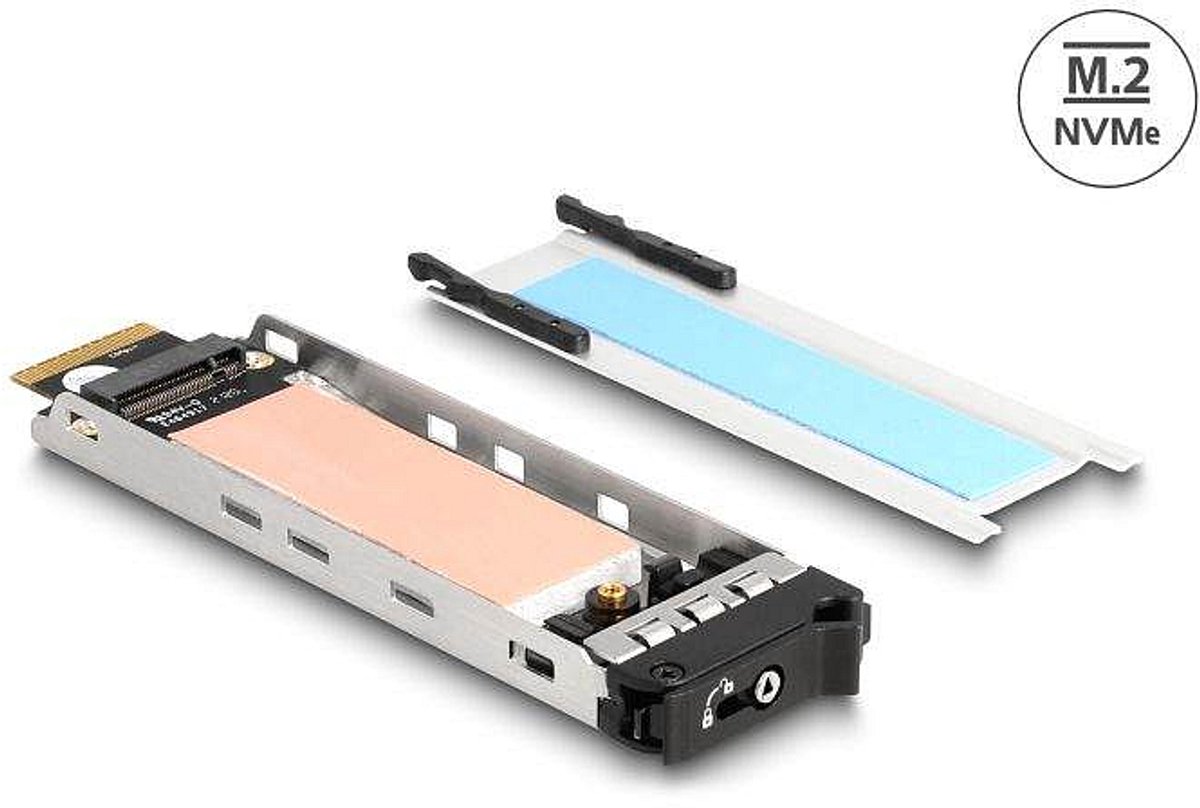 Delock Mobile Rack Inner Tray 1 x M.2 NMVe SSD for Mobile Rack 47028