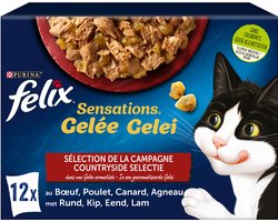 Felix Kat Sensations Countryside Selectie In Gelei Adult 12x85g