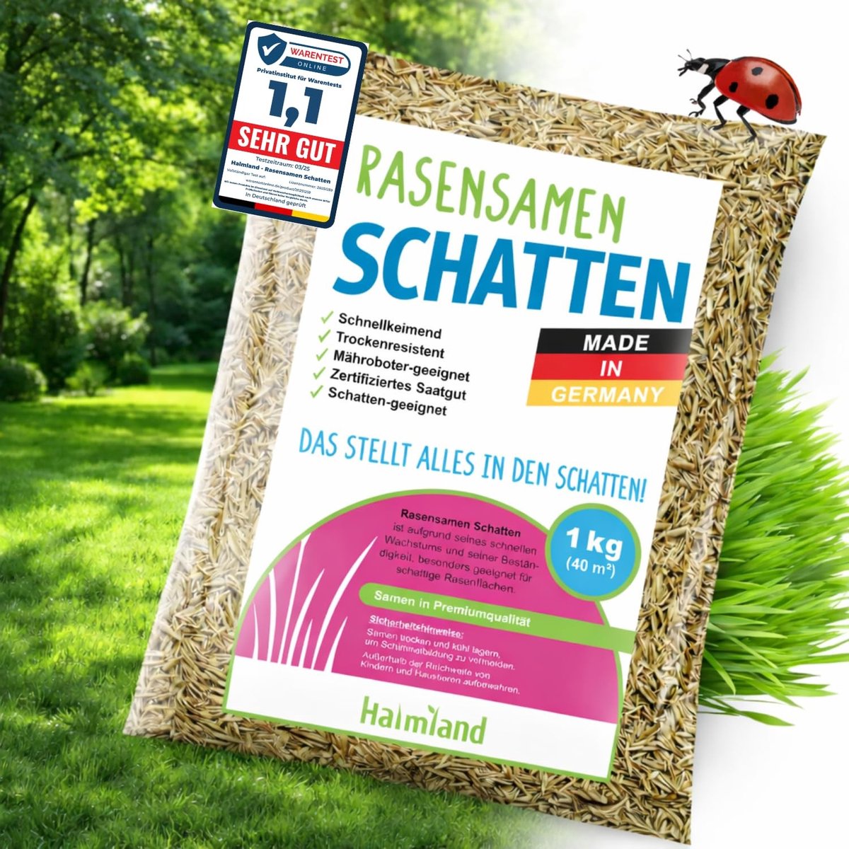 Dailygoods- Graszaad Snelkiemend - Schaduwgras - Herstelgazon - 1 kg voor 40 m² - Droogbestendig - Premium Gazon - Gazonzaad