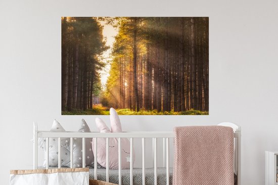 Sticker Muursticker Forêt - Rayons de soleil le long des grands arbres - 90x60 cm - film adhésif autocollant - sticker mural repositionnable