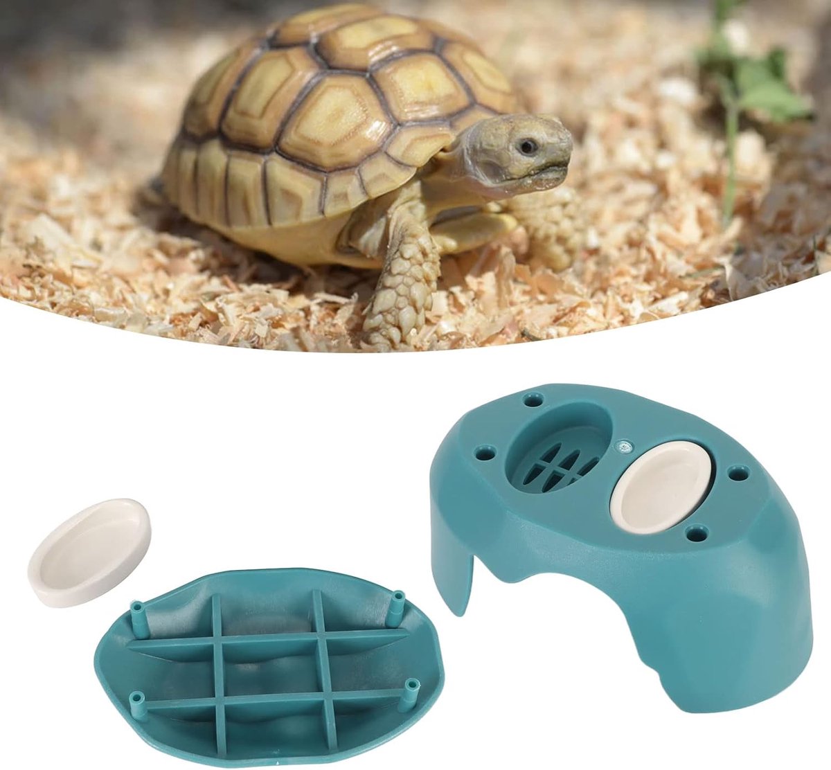 Vochtige Schuilplaats voor Schildpadden - Ideale Schuilplaats voor Landschildpadden, Voorkomt Vervorming van de Schelp, Naturalistische Landschapsdecoratie voor