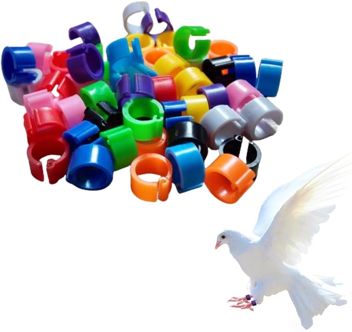 Ringen 【8 mm】Identificatie Ring Plastic Duif Ring Vogel Ringen Voor Markering Fokken Papegaai Kwartel Kippen Vogels Pluimvee