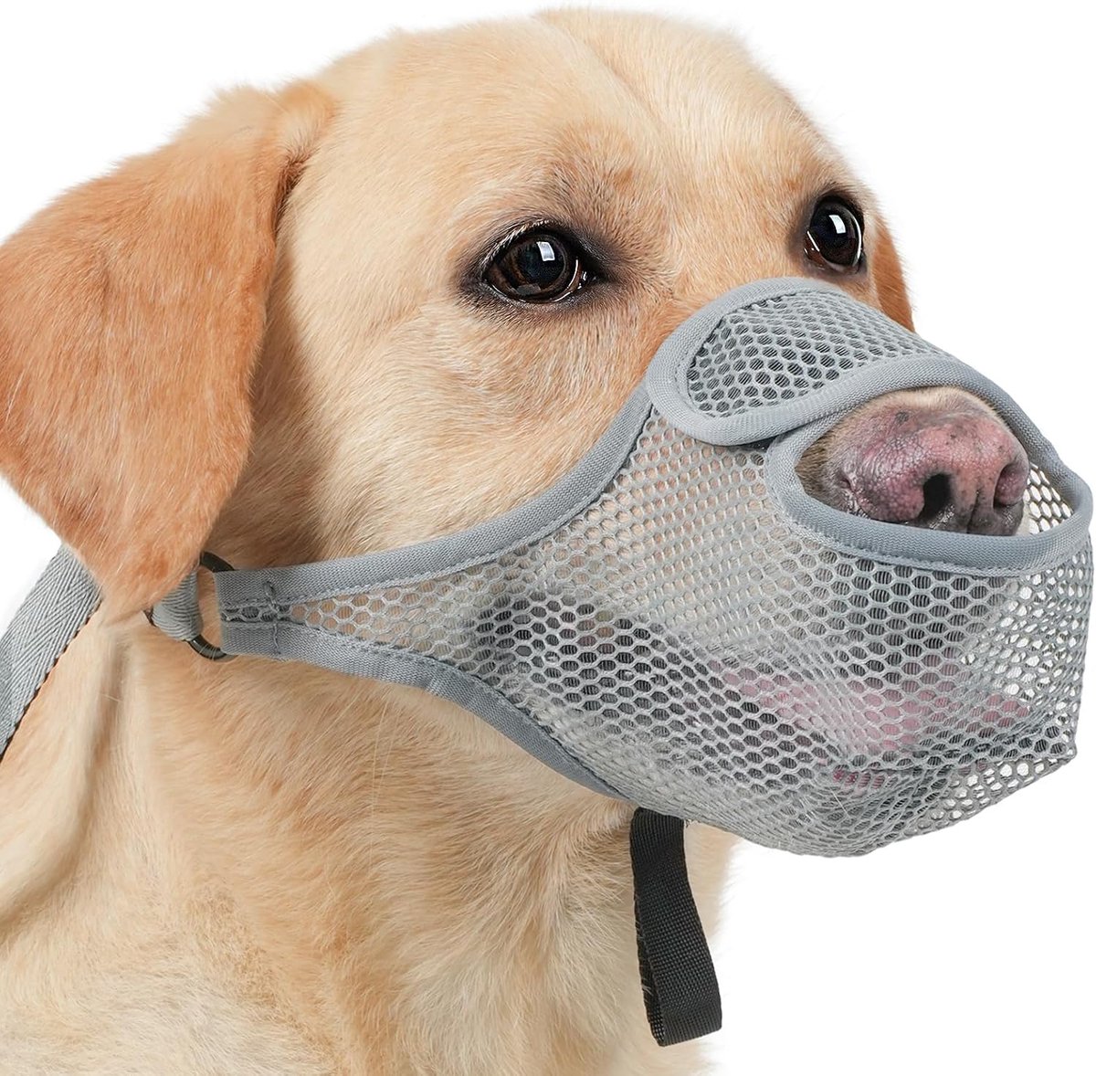 Muilkorf voor honden, ademend, nylon, muilkorf voor kleine honden, grote maat, muilkorf voor honden, middelgrote maat, anti-black-muilkorf om kauwen te voorkomen (grijs, XXL)