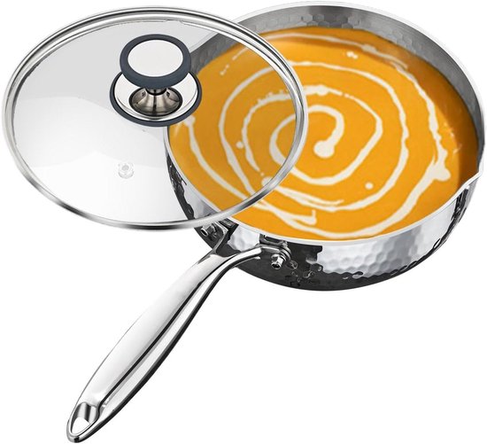 Roestvrijstalen Kookpan - Antiaanbakpan Sauspan - Gezond Koken - Dubbele Schenktuit - 22D x 24B x 22H cm - Zilver