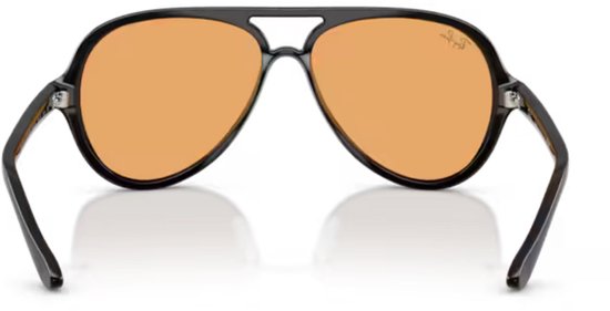 RAY-BAN RB4125 CATS 5000 CLASSIC SUMMER CAPSULE Glanzend Zwart van Ray-Ban — afbeelding 5