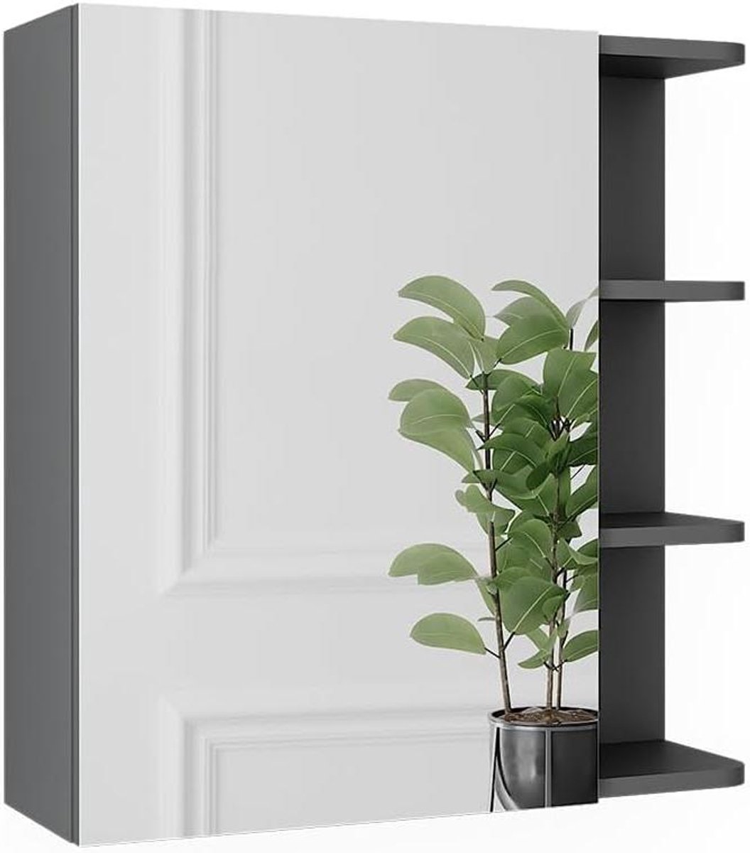Spiegelkast - Badkamerkast met spiegel - Orde in badkamer - Geïntegreerde spiegel - 62 x 64 cm - Antraciet