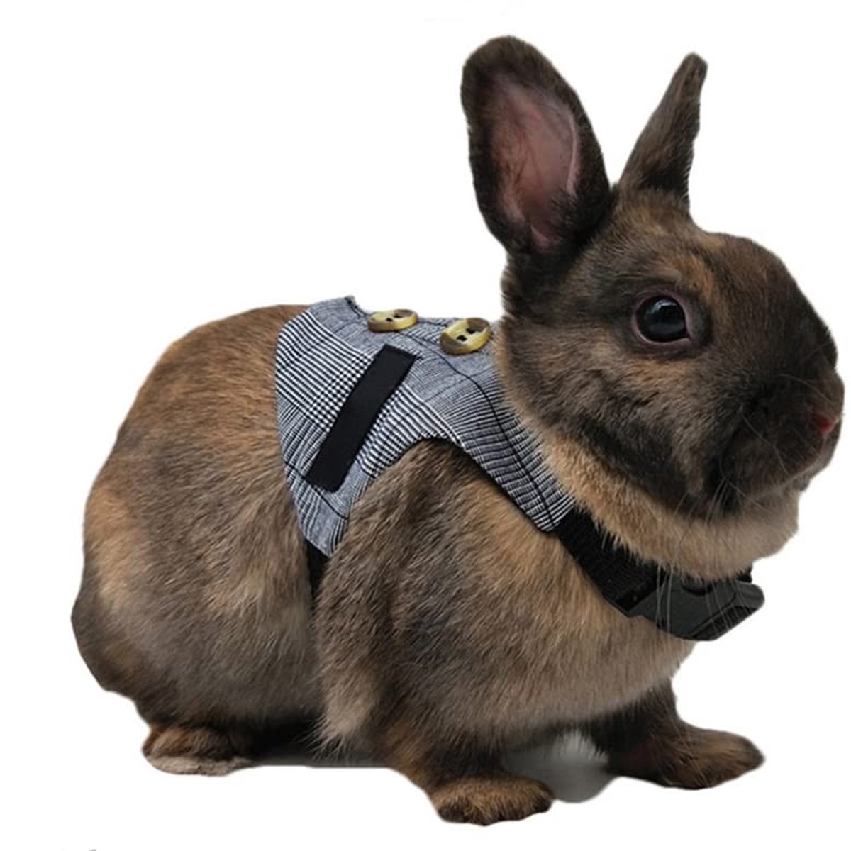 Solidchoice - Zacht Ademend Harnas voor Kleine Dieren met Riem