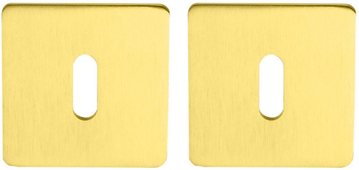 Sleutelrozet vierkant 55x3 mm ultra dunne rozet van 3mm geborsteld messing PVD gecoat