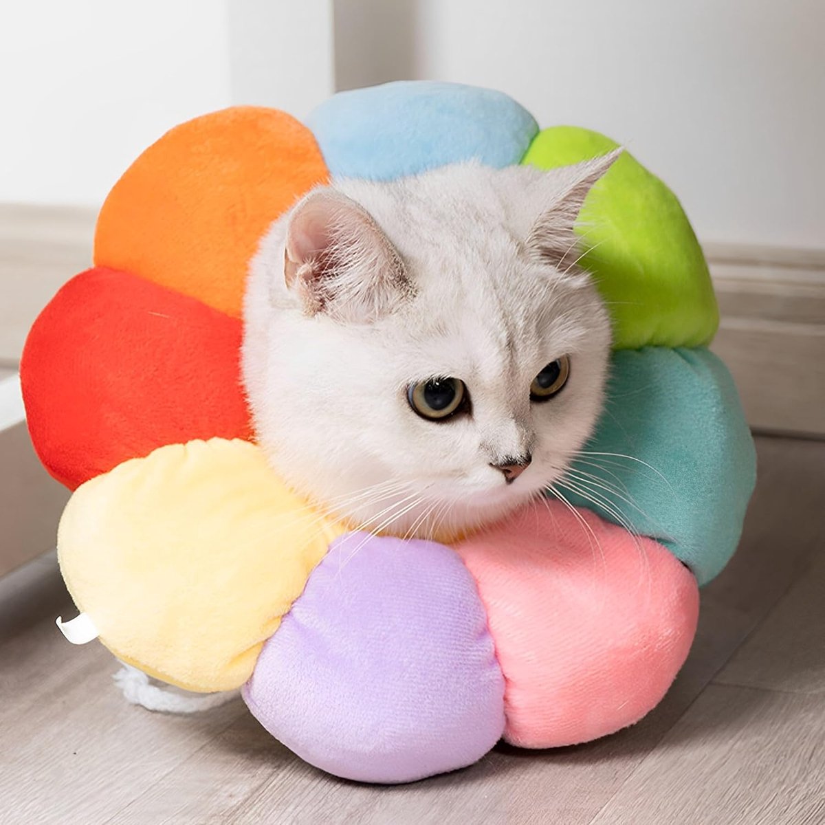 Circle, Soft Pet Neck Collar, Cat Cone Collar, Hond Cat Verstelbare, Herstel Kattenhalsband, Operatie Anti-Bijt Beschermende, Halskraag Kipvorm Duurzaam voor Kleine Honden (L)
