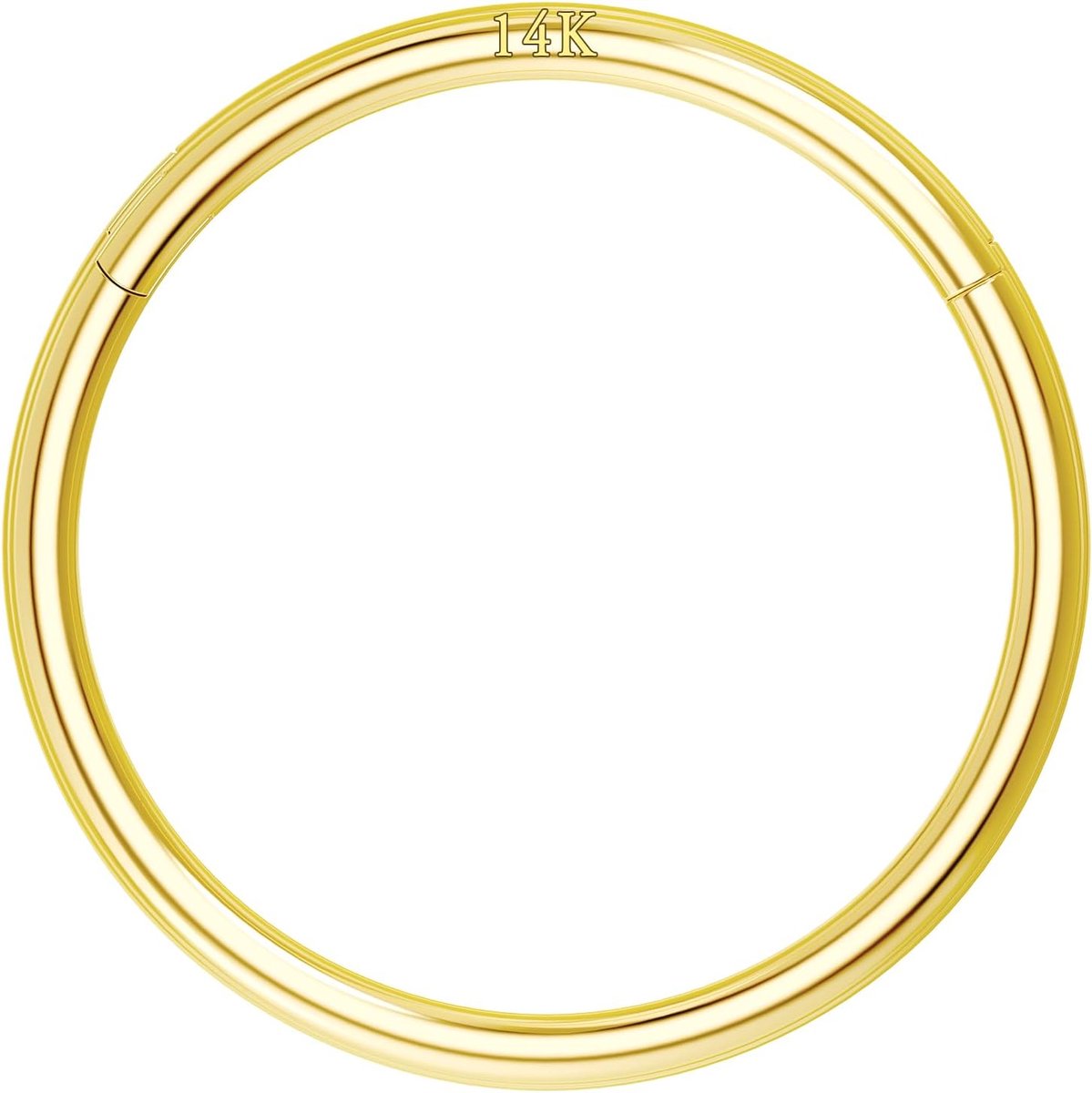 Body Piercing Nose Ring Hoop 20G Nose Ring Hinged Segment Helix Lip Rings Thin Nose Hoop Piercing Gold Cartilage Daith Rook Tragus Conch Earrings Jewellery